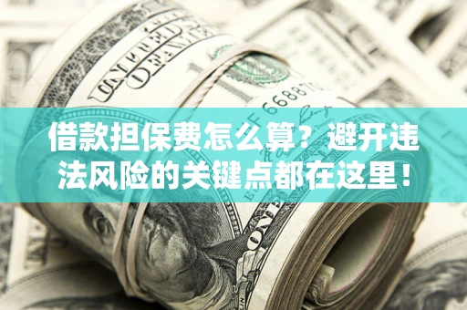 济南借款担保费怎么算？避开违法风险的关键点都在这里！