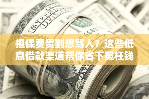 济南担保费贵到想骂人？这些低息借款渠道帮你省下冤枉钱
