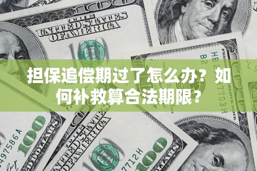 济南担保追偿期过了怎么办？如何补救算合法期限？