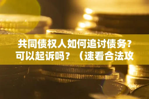 济南共同债权人如何追讨债务？可以起诉吗？（速看合法攻略）