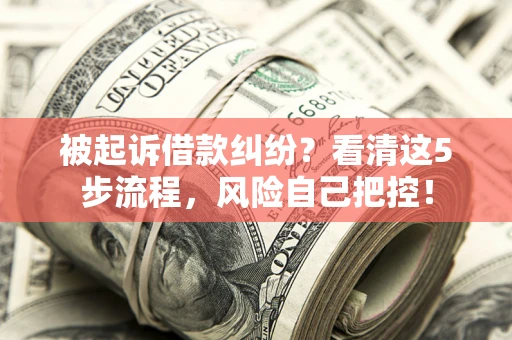 济南被起诉借款纠纷？看清这5步流程，风险自己把控！