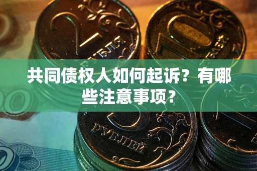 济南共同债权人如何起诉？有哪些注意事项？
